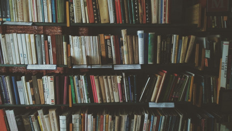 book cover bookshelf novel reading