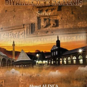 GURBETTEN DİYARBEKİR'E SERZENİŞ